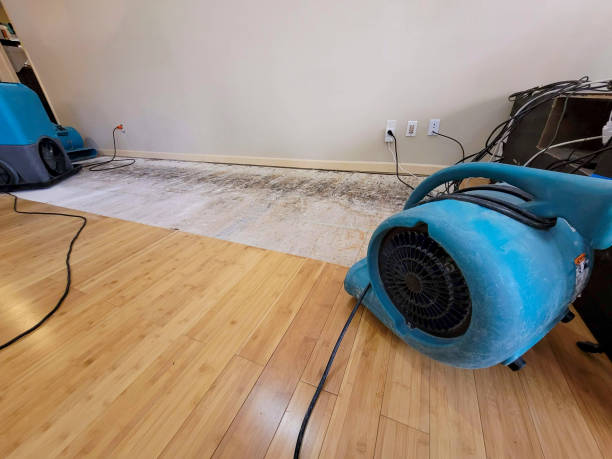 Professional Water Damage Repair technician working in Hancock, WI